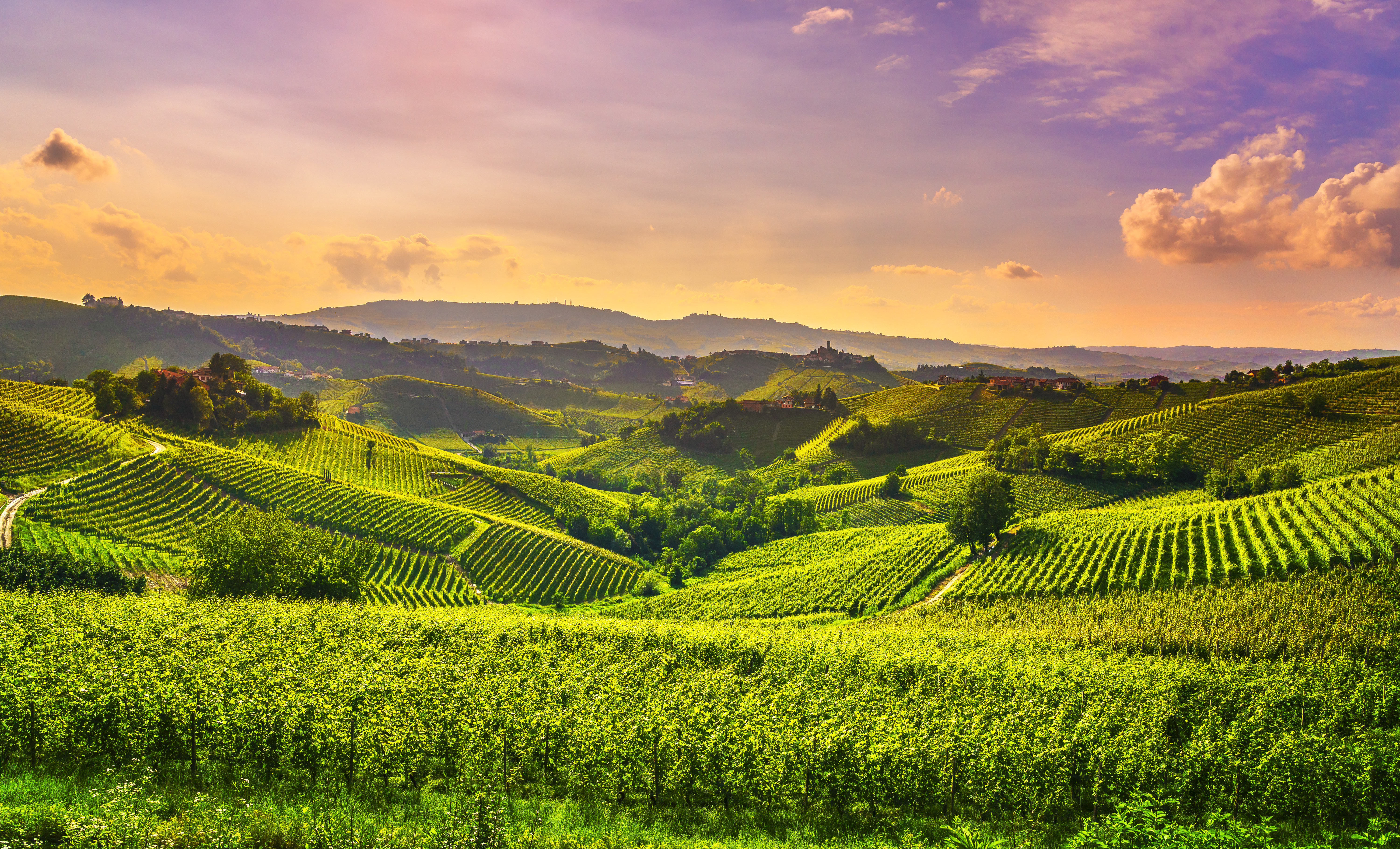 Langhe vineyards sunset panorama, Castiglione Falletto and La Morra, Unesco Site, Piedmont, Northern Italy Europe.